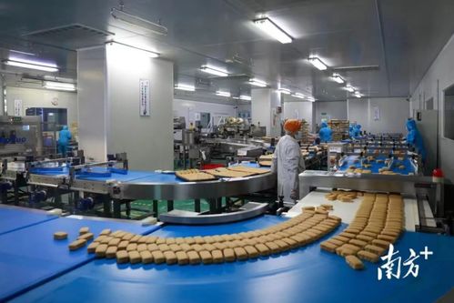 东莞市政府发布2022年一号文，大力推动数字经济高质量发展与金融服务深度融合