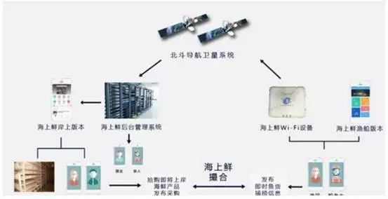 消费升级推动海鲜市场品牌化运营与金融服务融合（下）